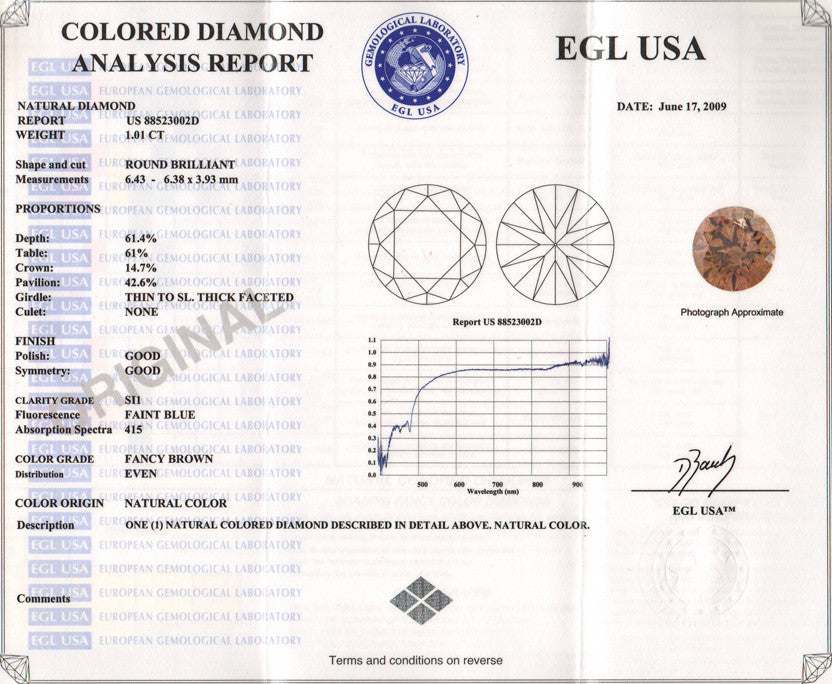 1.01 Carat Loose Natural Fancy Brown Cinnamon Color Diamond | Round Brilliant SI1 Clarity - Item: D171 - Image: 2