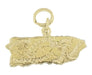 Puerto Rico Charm Map - 14K Yellow Gold Boricua Pendant- C347