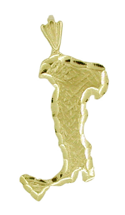 Diamond Cut Italy Charm in 14 Karat Gold