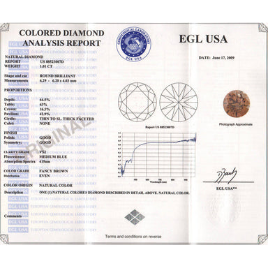 1.01 Carat Cognac Hue Natural Fancy Loose Brown Diamond | Round Brilliant VS2 Clarity - alternate view