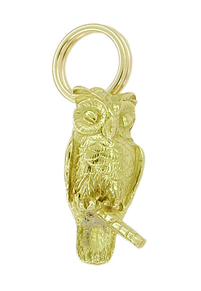 Wise Owl Charm in 14 Karat Gold